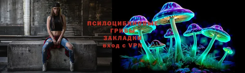 где можно купить   Оленегорск  мориарти какой сайт  Псилоцибиновые грибы Cubensis 