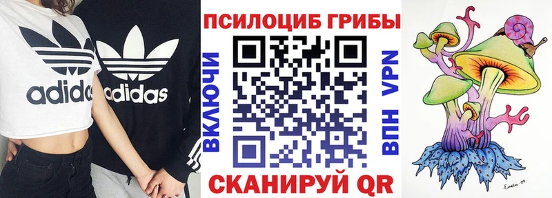 МЕГА   купить наркоту  Оленегорск  Псилоцибиновые грибы Psilocybine cubensis 